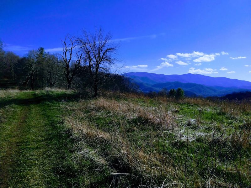 Roan Mountain Appalachian Trail Section, Appalachian National Scenic Trail, Roan Mountain