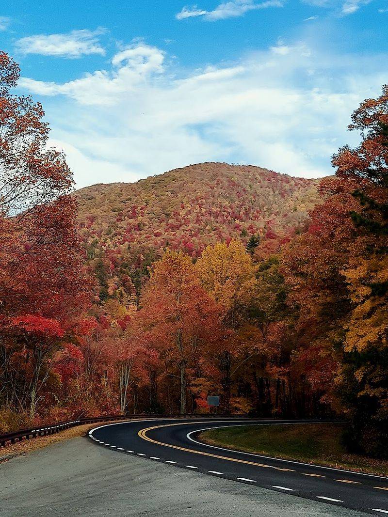 Tellico Plains And Cherohala Skyway