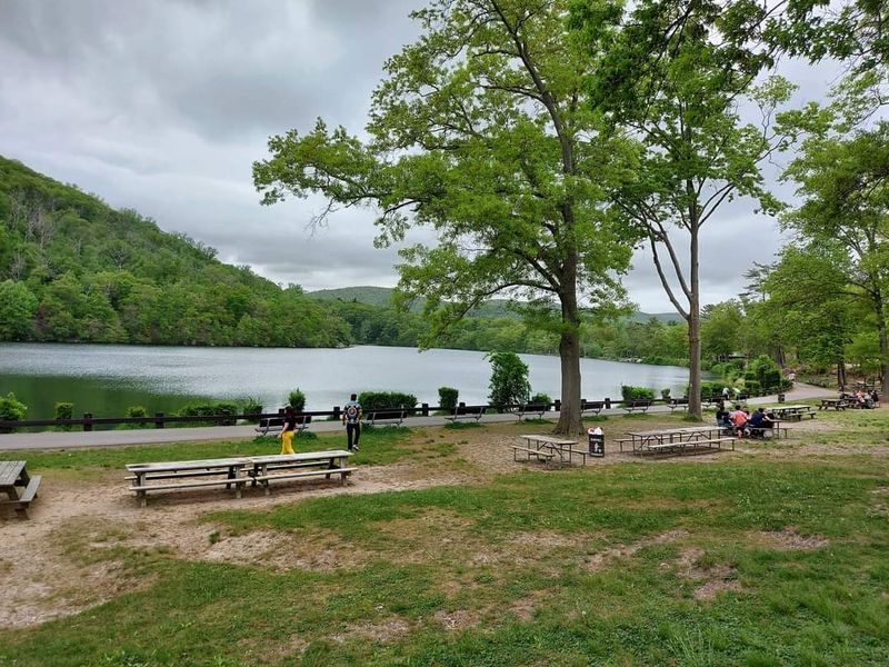 Swimming And Summer Recreation At The Park Pool