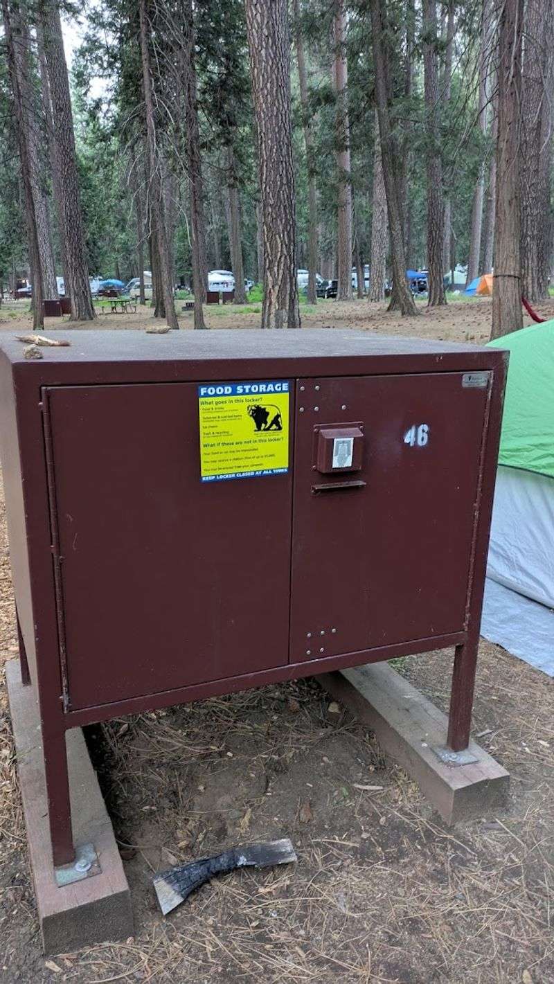 Bear-Proof Food Lockers Designed For Safe Camping