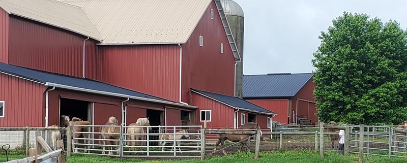 Scenic Country Drives Start Right Outside Town