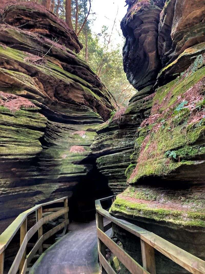 Light And Shadow Create A Dreamlike Atmosphere