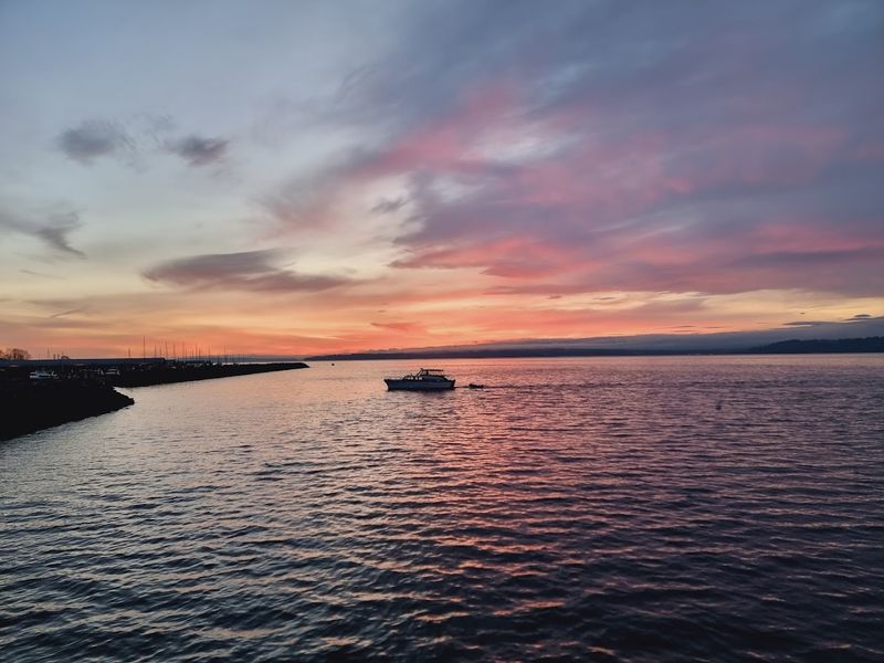 Moonlit Views Turning Water Into Silhouettes