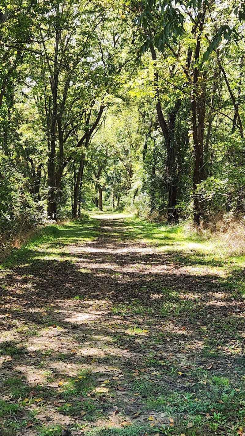 Walking Trails That Tell Their Own Story