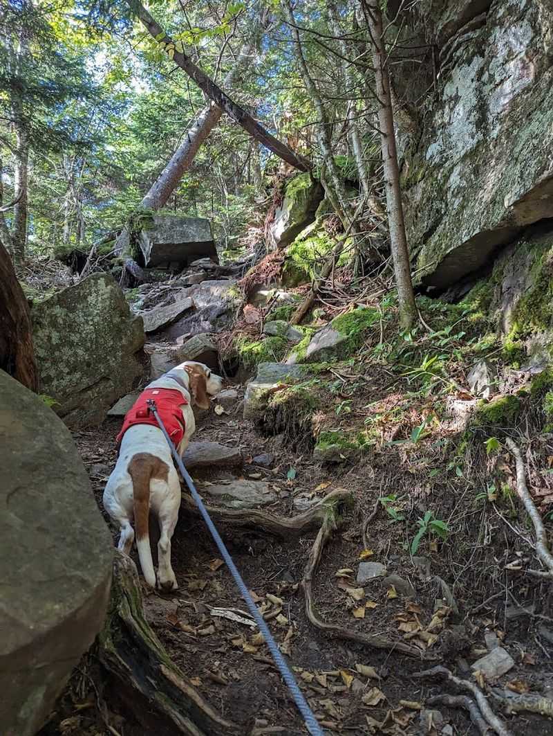 What Rock Scrambling Actually Feels Like Out Here