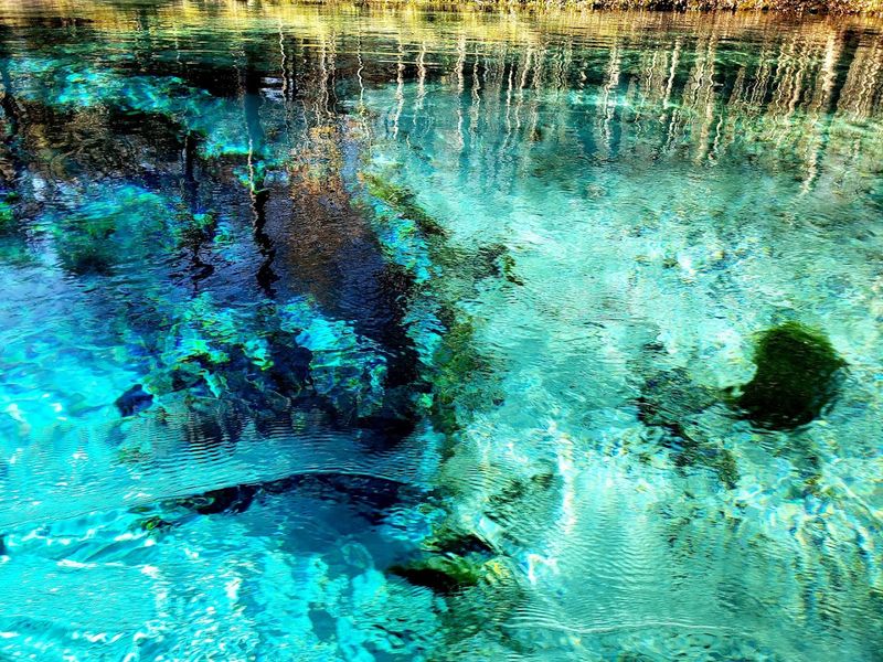 Why Gilchrist Blue Springs Has Unbelievable Water Clarity