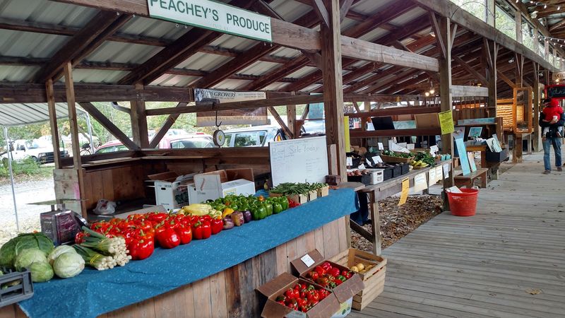 Practical Tips For Making The Most Of Your Visit