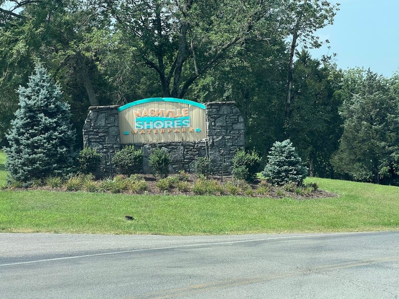 The Pooch Party And Dog-Friendly Special Events