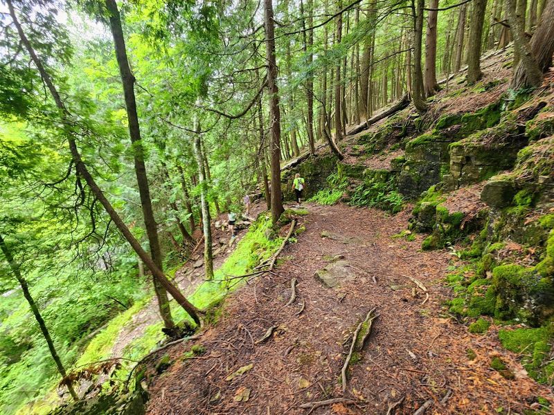 A Peaceful Trail Perfect For A Morning Or Sunset Walk