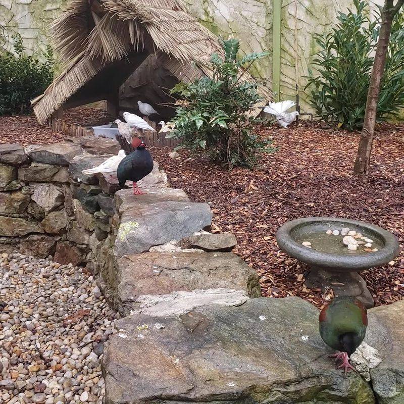 Golf Cart Tours With Knowledgeable Guides