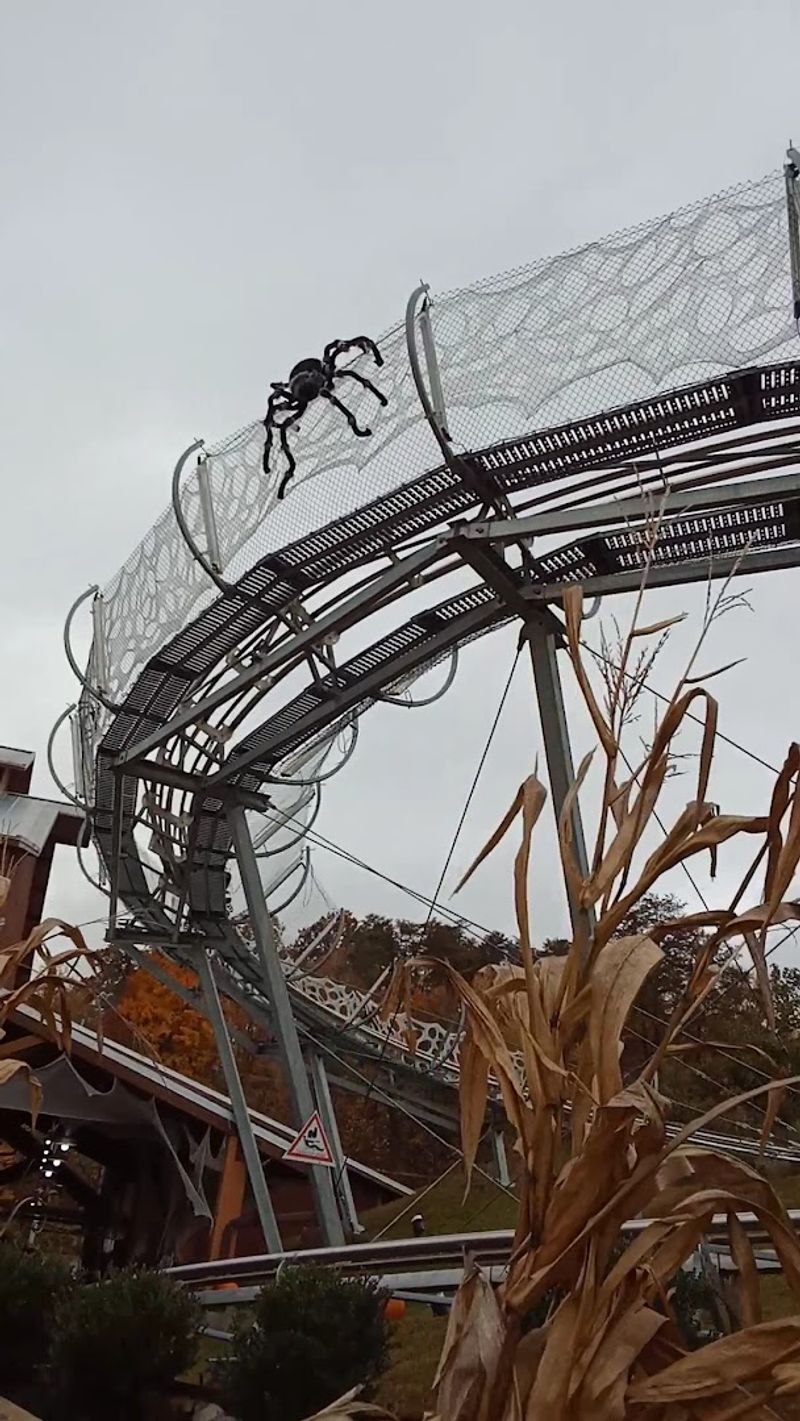 Seasonal Events That Add New Layers To The Ride