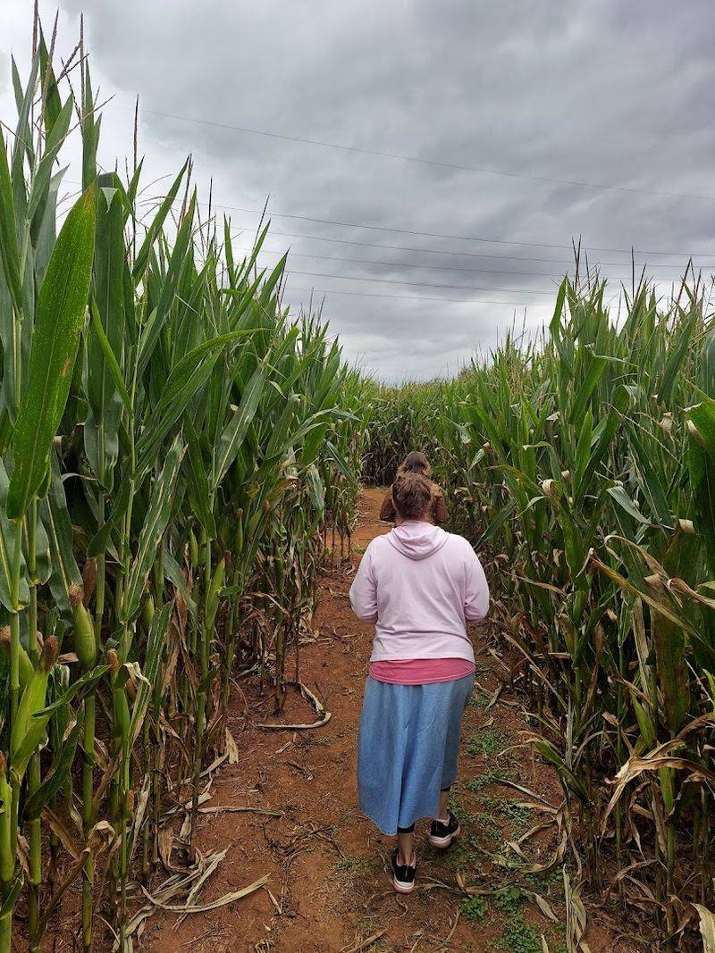 The Corn Maze And Corn Crib That Keep Kids Busy For Hours