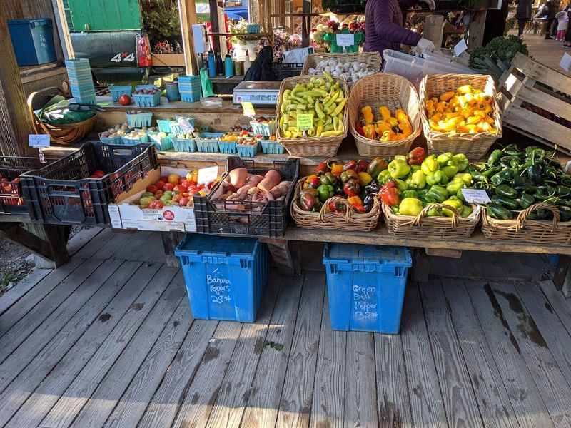 The Kind Of Place That Makes You Cancel Your Other Plans