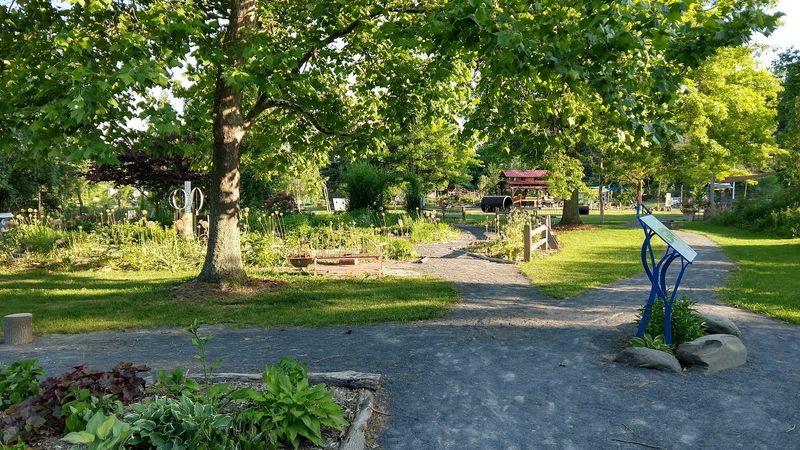 The Frog Pond And The Thrill Of Scooping Up Tadpoles