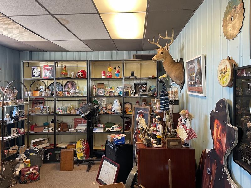 Vinyl Records And Music Memorabilia For True Collectors