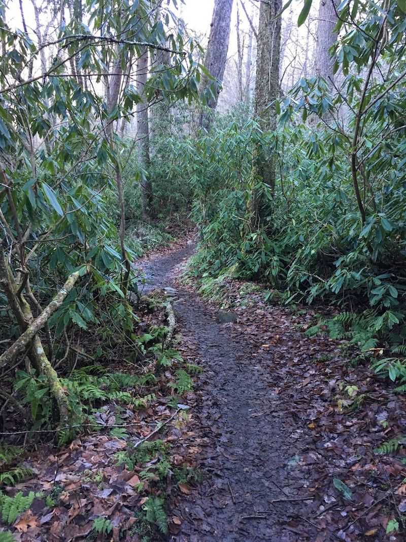 Packing Smart For An 8-Mile Mountain Hike