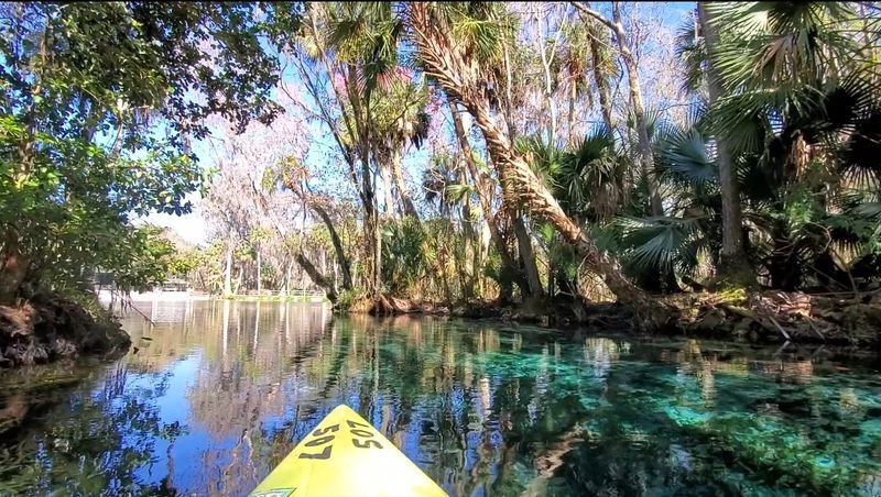 Crystal-Clear Springs Reveal An Underwater World