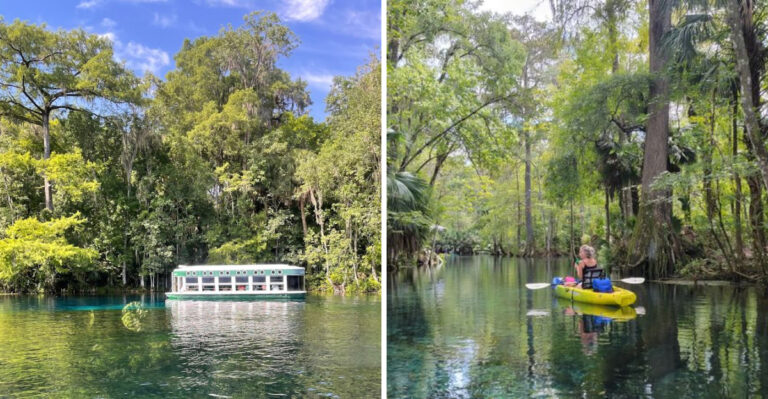 Glass-Bottom Boat Rides And Wild Monkeys Make This Florida State Park Unforgettable