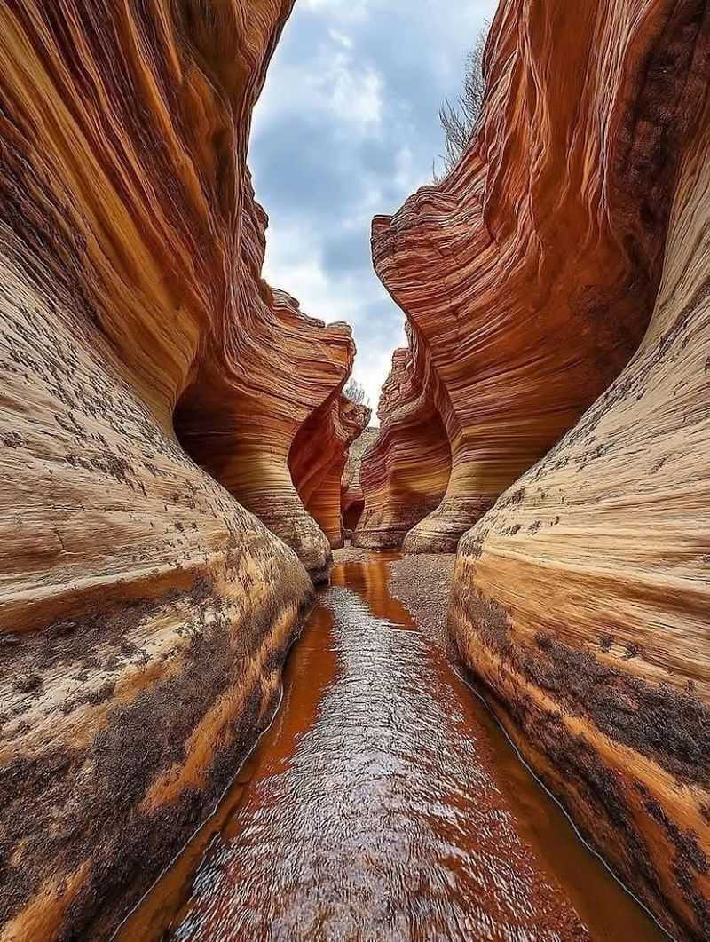 Willis Creek Slot Canyon (Grand Staircase-Escalante National Monument)
