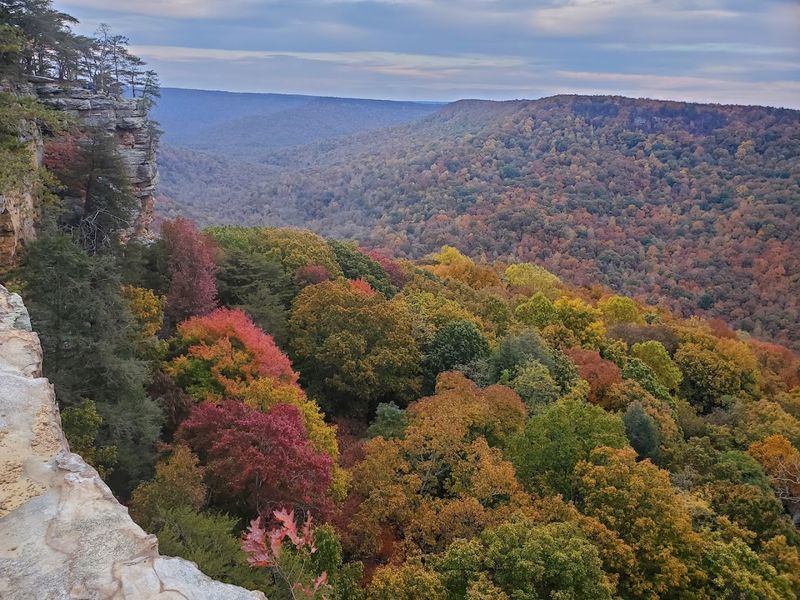 Laurel Gulf Overlook: Where The Plateau Reveals Itself