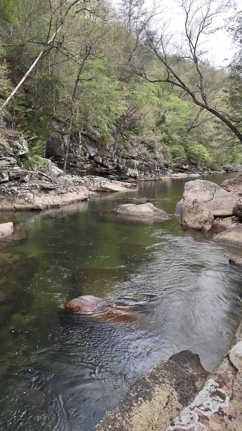 Cumberland Mountain State Park – Piney River Trail