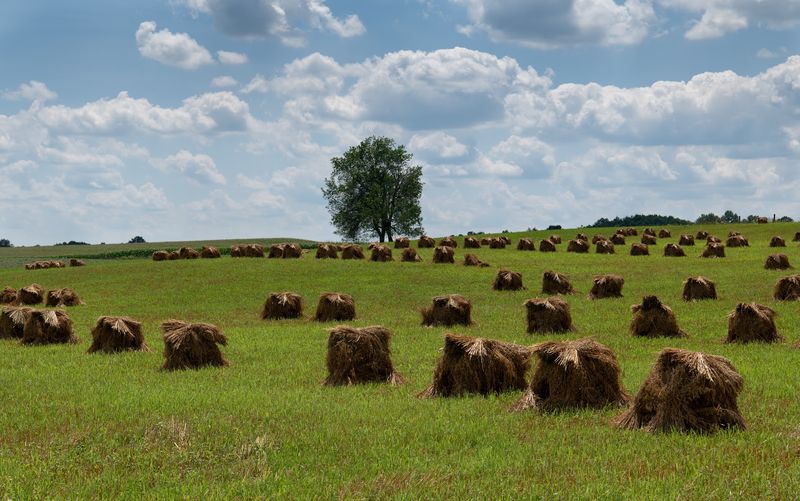 Rolling Farmland Surrounds The Quiet Village