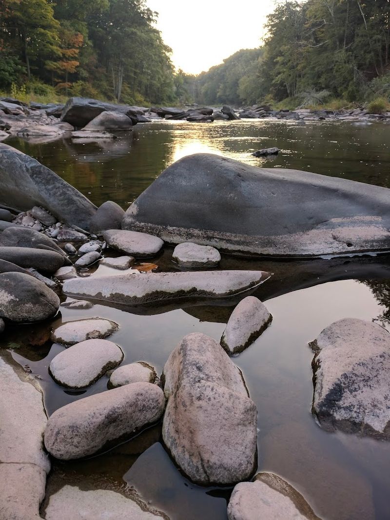 Friends Of Feathered And Furry Wildlife Center