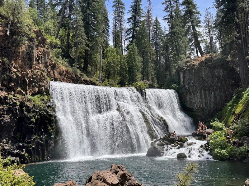 McCloud River Falls Trail (Shasta Trinity National Forest)