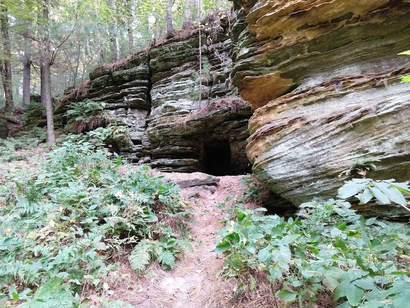 Rocky Arbor State Park (Near Wisconsin Dells)