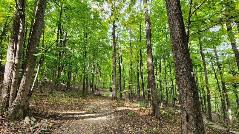 The Trail System And What To Expect On The Way In