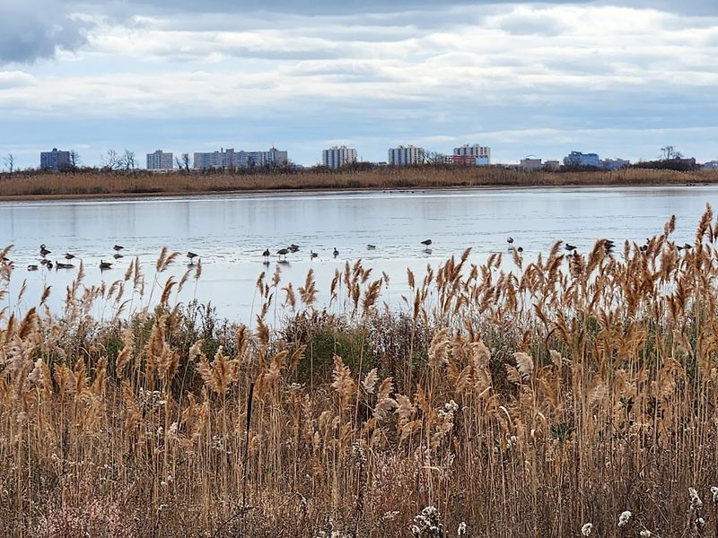 What Visitors Consistently Say About Their Time At The Refuge
