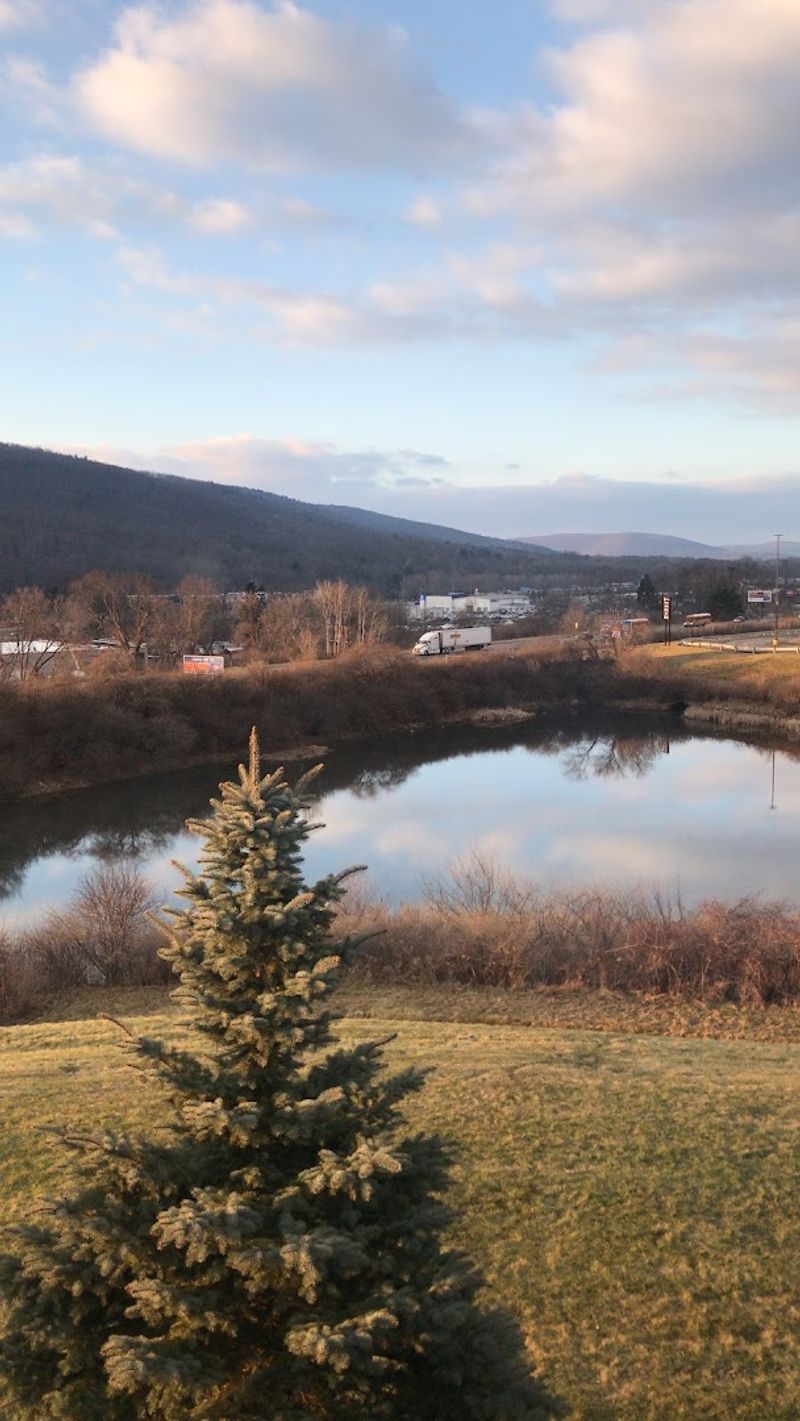Outdoor Life Along The Chemung River