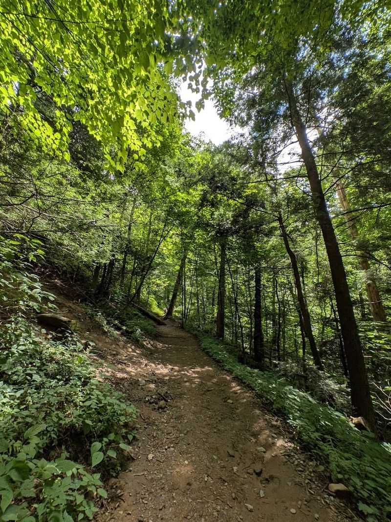 Rainbow Falls Trailhead