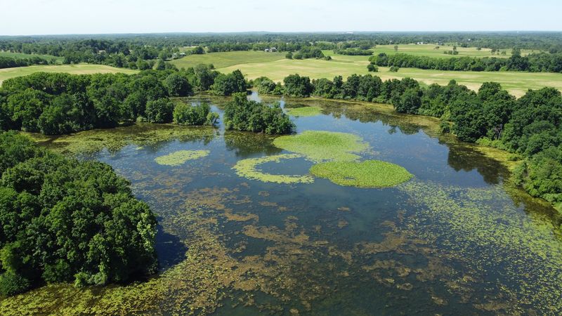 Watkins Lake State Park