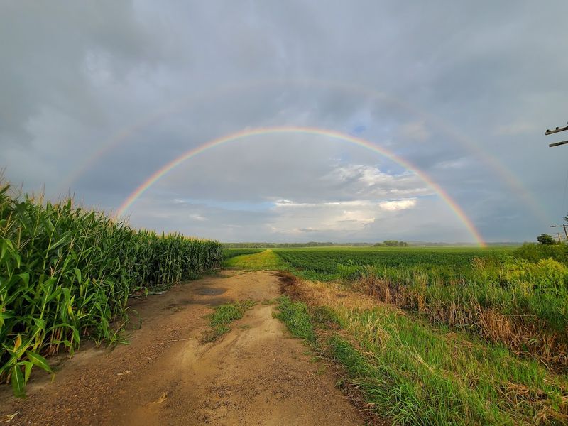 Quiet Country Roads Shared With Horse-Drawn Buggies