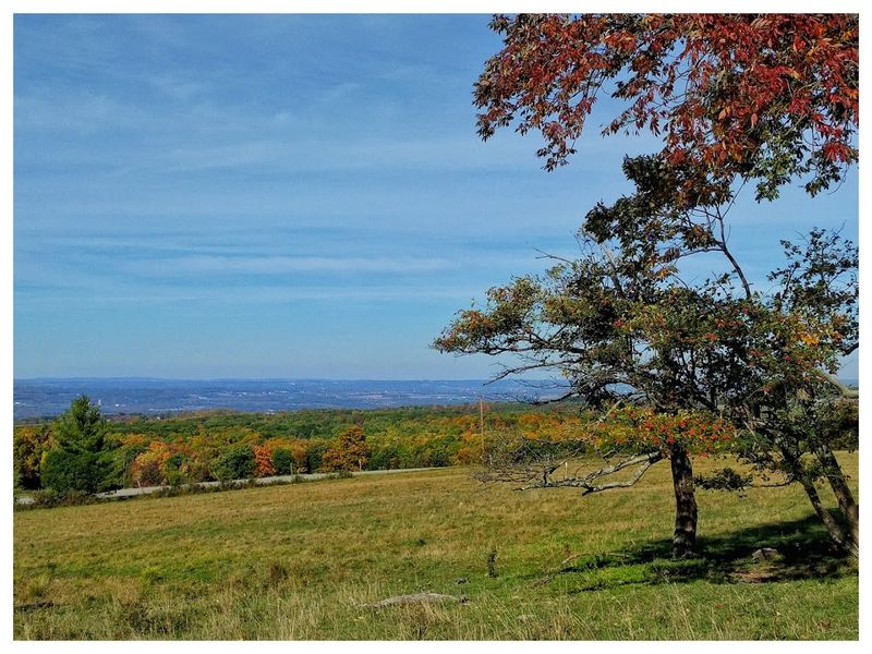 What Autumn Looks Like When It Is Genuinely Trying