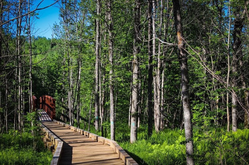 Morgan Falls Trail (Mellen)