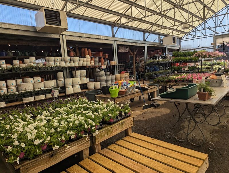 Customer Service That Builds Real Loyalty