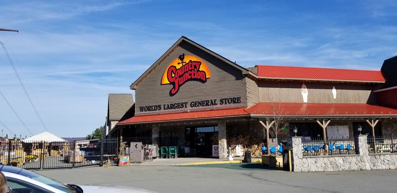 A Day Trip Worth The Drive