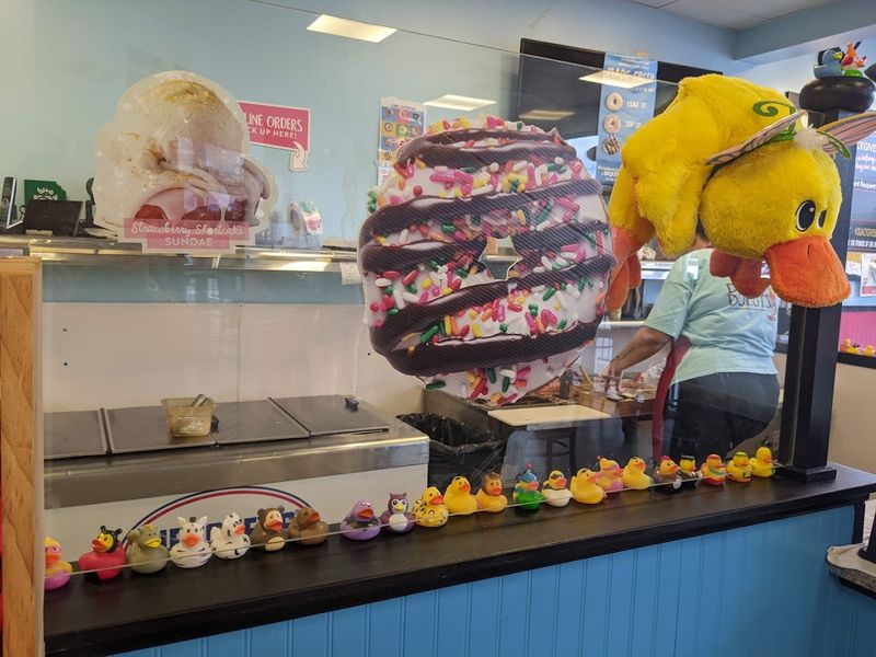 Bringing The Whole Family Along For The Experience