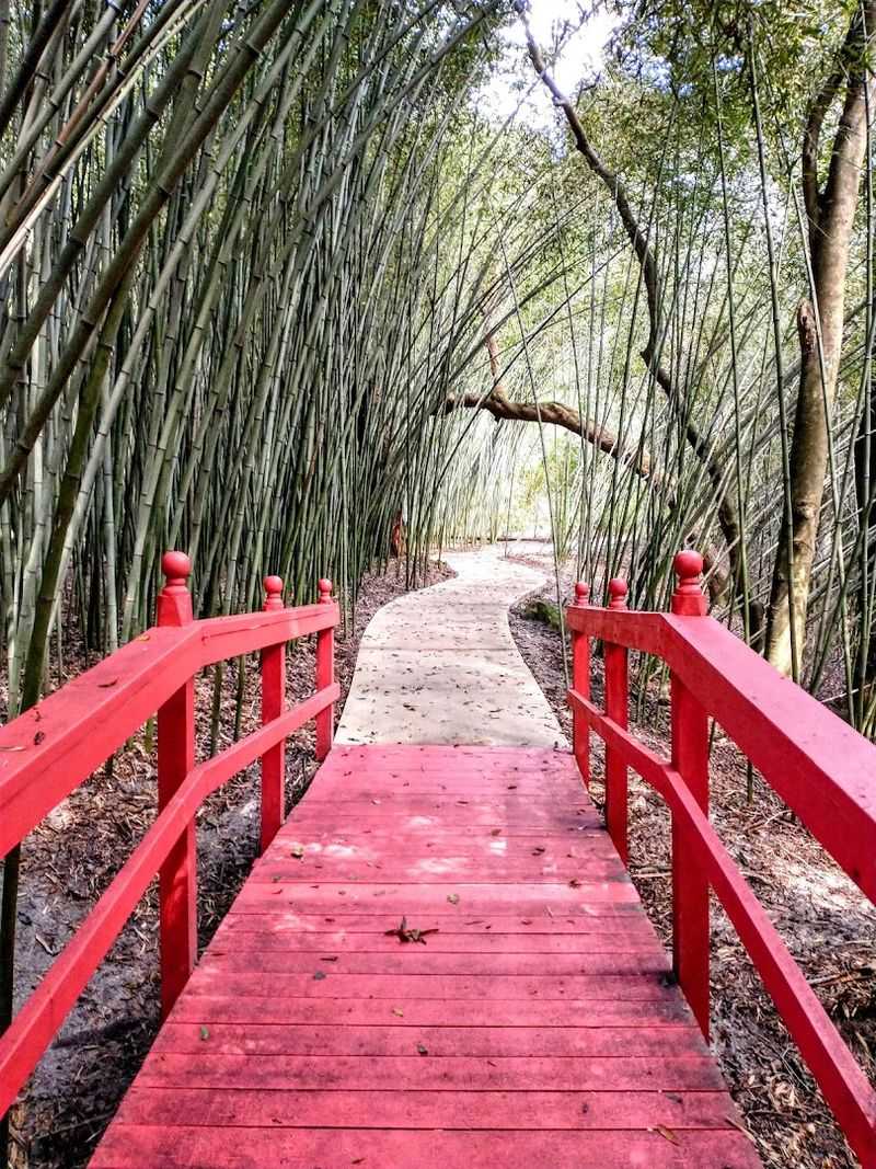 Why Visitors Often Spend Hours Wandering The Garden Paths