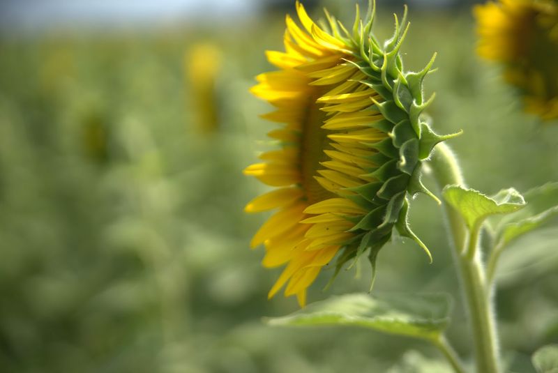 Why Families With Young Children Should Move This To The Top Of The List