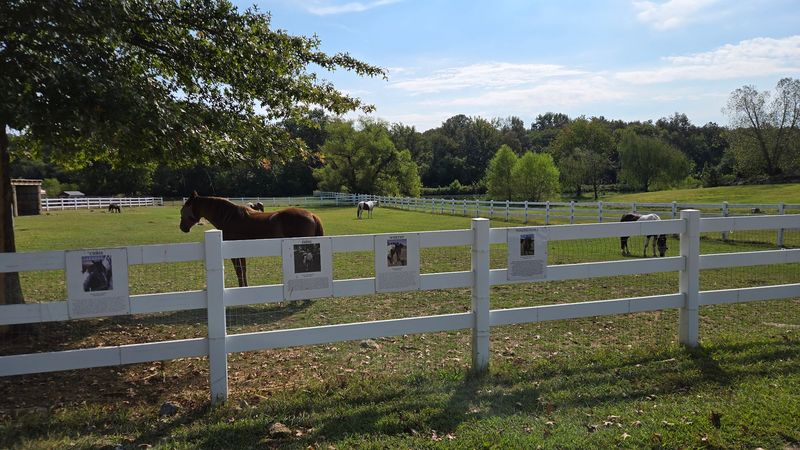 Planning Your April Visit To The Christiana Location