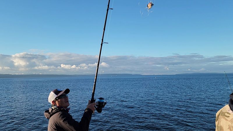 Locals' Strange Sights And Sounds Near The Pier