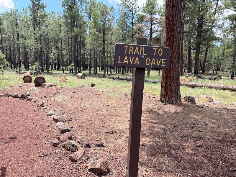 A Short Forest Trail Leads You To The Hidden Cave Entrance