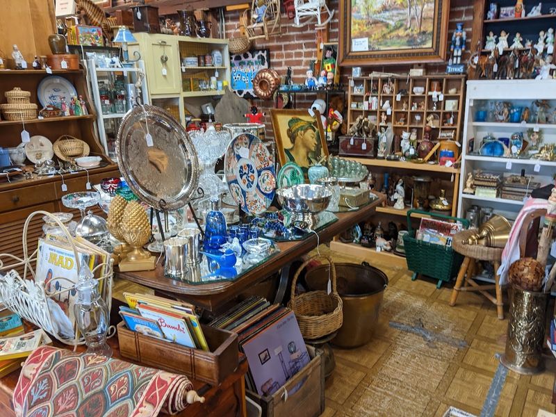 Books, Art, And Decor For The Thoughtful Home Curator