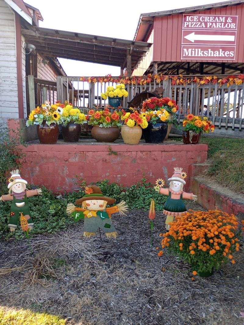 Seasonal Events Like Christmas At The Farm Create Year-Round Reasons To Return