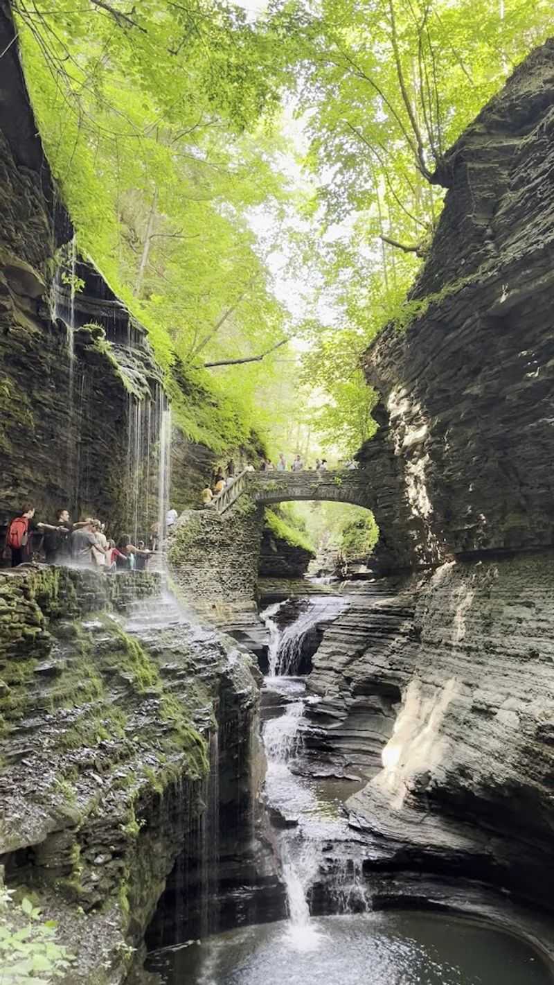 Watkins Glen Gorge Trail (Watkins Glen State Park)