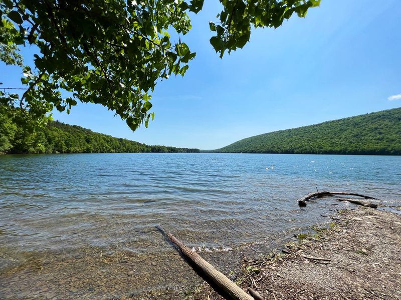 Fishing At Canadice Lake And What Anglers Actually Find There
