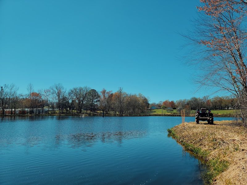 Paris Landing State Park And Its Remarkable Waterfront Setting